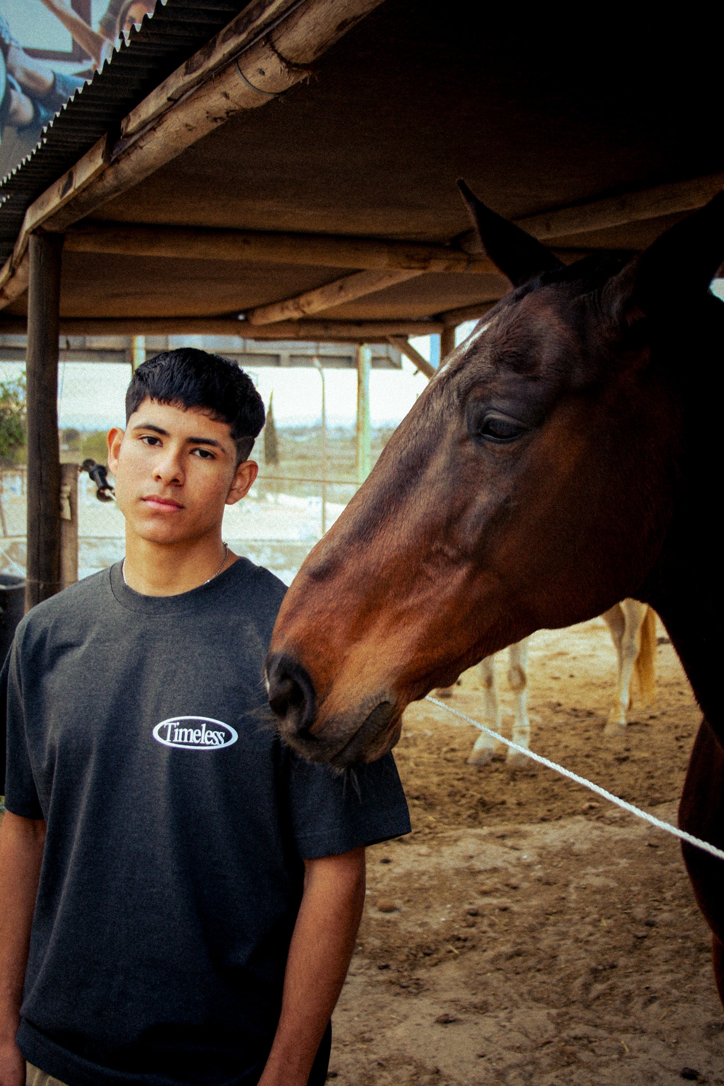 C- horse T-shirt